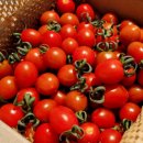 이규호농장 이미지