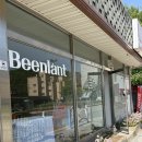 연두꽃집 | [동두천] 사장님 미감이 미친 지행역 꽃집 빈랜트 | 색 조합 가능한 예쁜 꽃다발 재방문 내돈내산 솔직후기