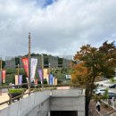 DMZ박물관 | 고성 DMZ 박물관 체험 프로그램 후기｜아이랑 평화·역사 체험 코스(예약·주차·동선)