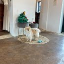 반하크라 이미지