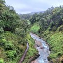 전곡시장 이미지