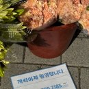 성복약국 | 수지 성복역 꽃집, 꽃아저씨 구매후기, 가격, 영업일