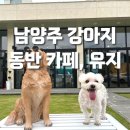 유지(YOUJI) | [남양주] 와부읍 유지, 무료 잔디 운동장이 있는 강아지 동반 카페