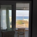 정글 게스트하우스 | 제주 서쪽 애월 곽지 바다뷰 조용한 1인 숙소 정글 게스트하우스 후기