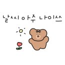 스테이 꿈의대화 이미지