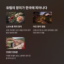곡성-025 티스토리