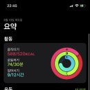 펀치복싱GYM 이미지