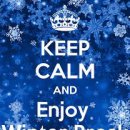 소나무파인트리(PINE TREE) 이미지