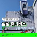 볼거리가 풍부했던 팝업 후기