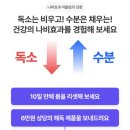 미리안나비 이미지