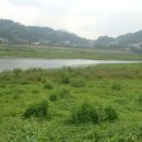 제일낚시 - 보은군 보은로 131 | 제일낚시