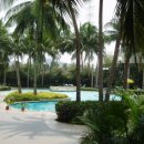 크리스탈 골프클럽 이미지