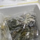 꽃게달인 제철 연평도 급냉암꽃게로 꽃게탕 끓여 먹은 후기