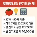 보광농장 | 토마토LED 보광 재배, 설치 후 대 만족.