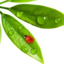 존 행정사 이미지