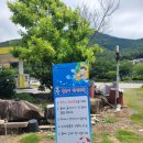 호산나주유소 이미지