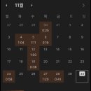 호정약국 | 음대생 먼슬리 기록 25-11