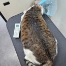고남슈퍼 네이버블로그
