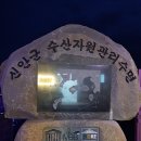 전라남도 신안군 안좌면 퍼플교 | 전라남도 신안군 안좌면에있는 퍼플교에서~