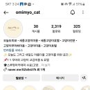 떡마마 세종새롬점 이미지