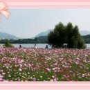 구리한강시민공원 이미지