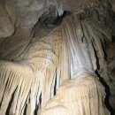 산호동509 이미지