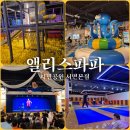 서면 초대형 키즈카페/21갤 아기와 갔다 온 후기 &#34;앨리스파파 시민공원서면본점&#34;