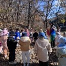 발레리나 자연물 꾸미기 이미지