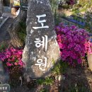 도혜원민박 이미지