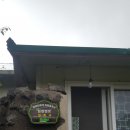 영실농장 이미지