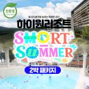 여름철 휴가지 추천해요 강원도 정선 하이원 워터월드! 하이원 워터월드 프라이빗 라운지 하이원 리조트...
