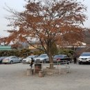 섬진강메기매운탕전문점 이미지