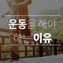 짐이유 이미지