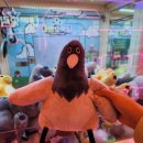 대빵오락실(신제주점) 이미지