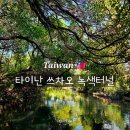 녹색 | 대만 가오슝 타이난 가족여행 쓰차오 맹그로브 녹색 터널 이용후기