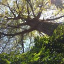 갯골샘터 이미지