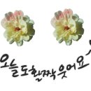 이레꽃화원 이미지
