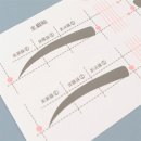 오토랜드카 이미지