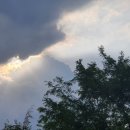 대촌천 자전거도로 이미지