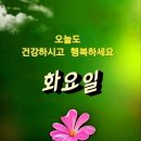 가장 좋은 나이 이미지