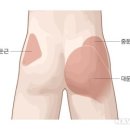 디노짐 이미지