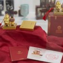 퍼피랜드 이미지