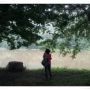 암산유원지 이미지