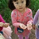 동심어린이집 이미지