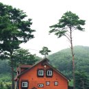 펜션 시즌 이미지