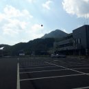 진산애향기