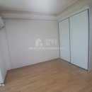 제니텔 네이버블로그