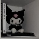 카펠로그 | 초여름 기록 ⋆｡˚🤍୧‧₊🪽˚ ༘ 🎀