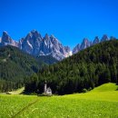 자연-이미지 이미지