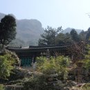 청룡사 이미지